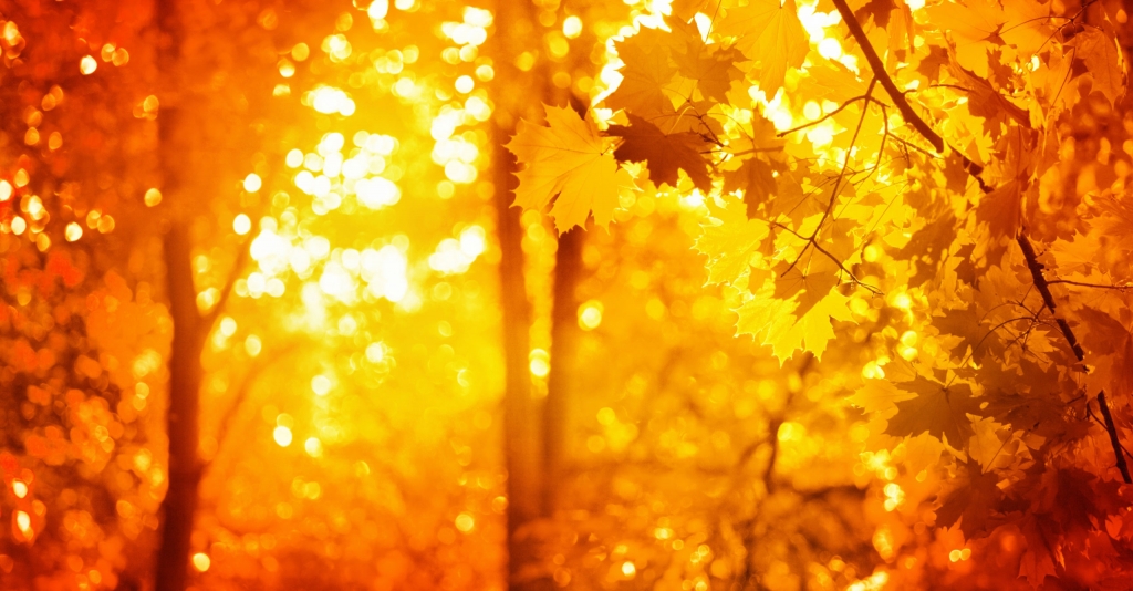 Grimes & Company, Inc.