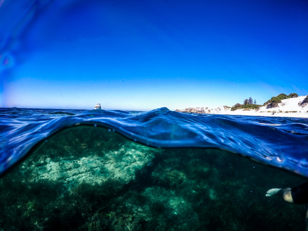 Grimes IQ March 2021 Grimes & Company, Inc.